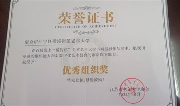 数智杯“优秀组织奖” - 副本.jpg